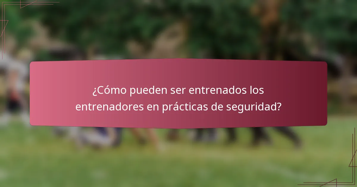 ¿Cómo pueden ser entrenados los entrenadores en prácticas de seguridad?