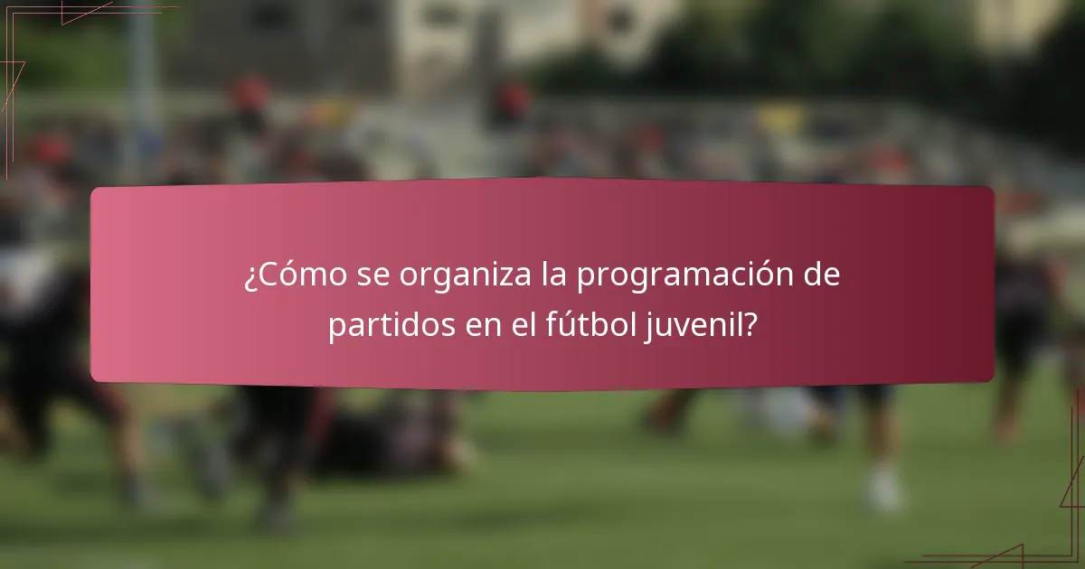 ¿Cómo se organiza la programación de partidos en el fútbol juvenil?