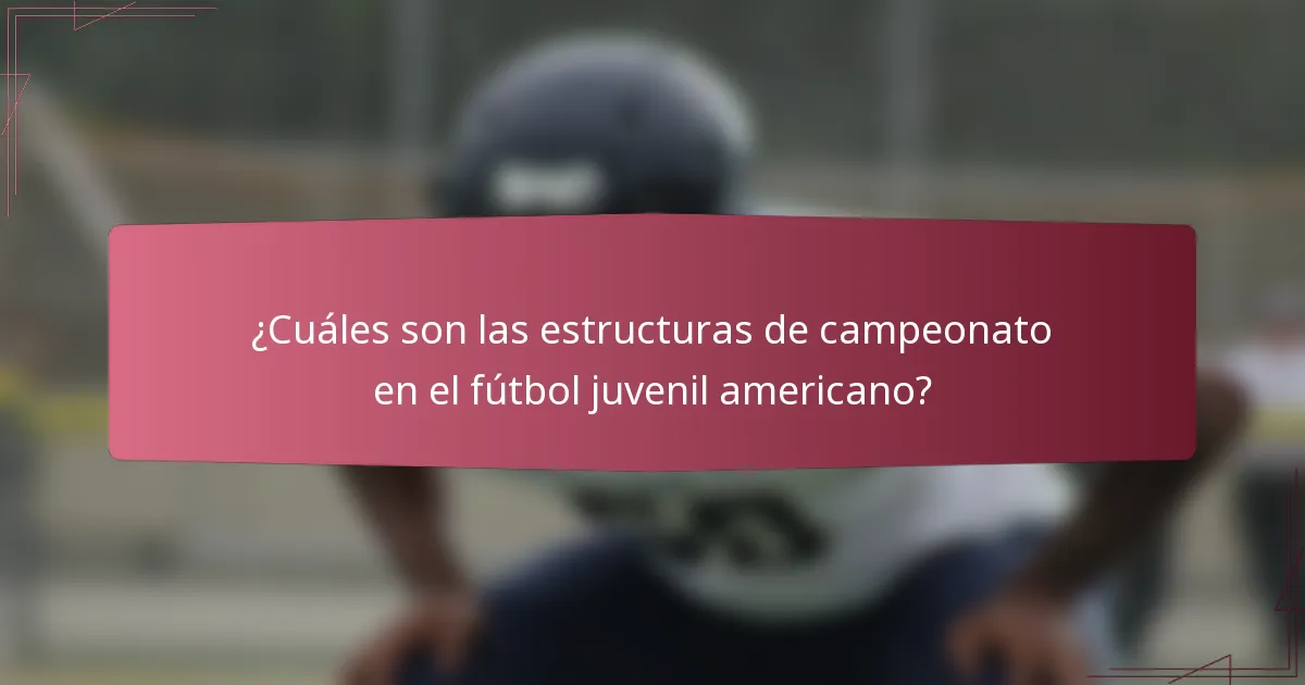 ¿Cuáles son las estructuras de campeonato en el fútbol juvenil americano?