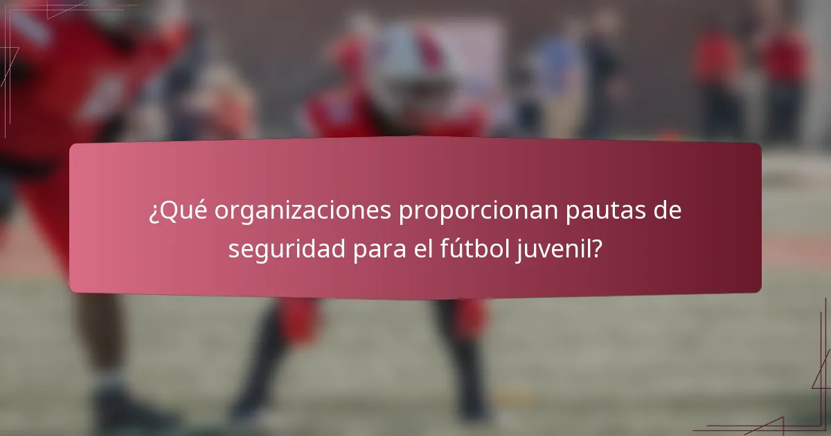 ¿Qué organizaciones proporcionan pautas de seguridad para el fútbol juvenil?